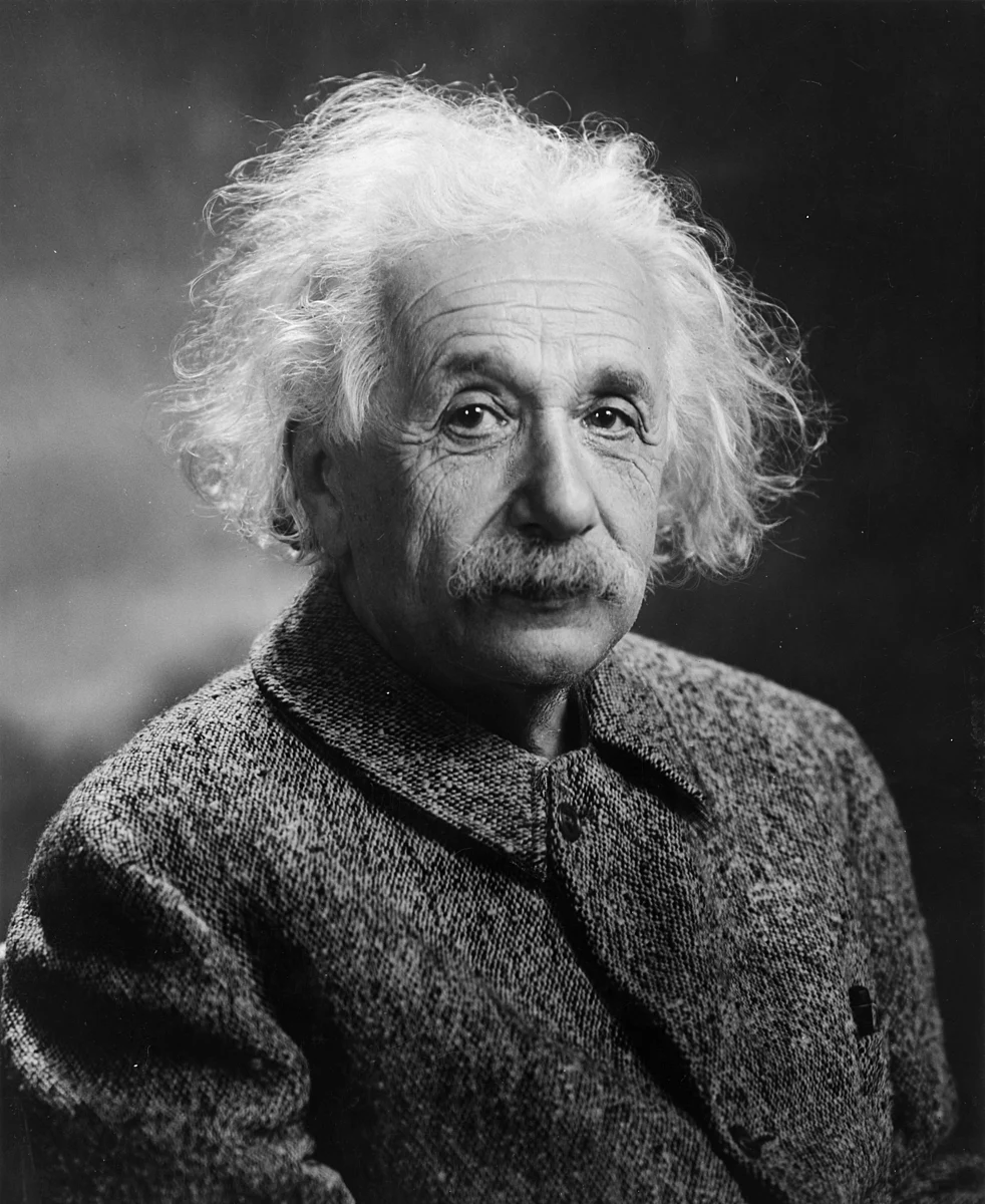 Albert Einstein portrait